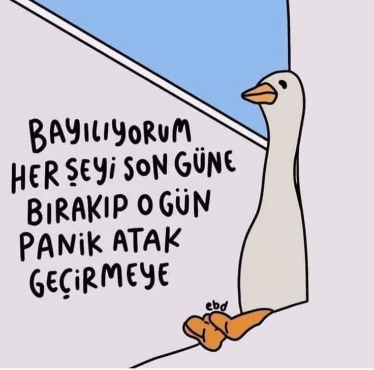 Gönderi görseli
